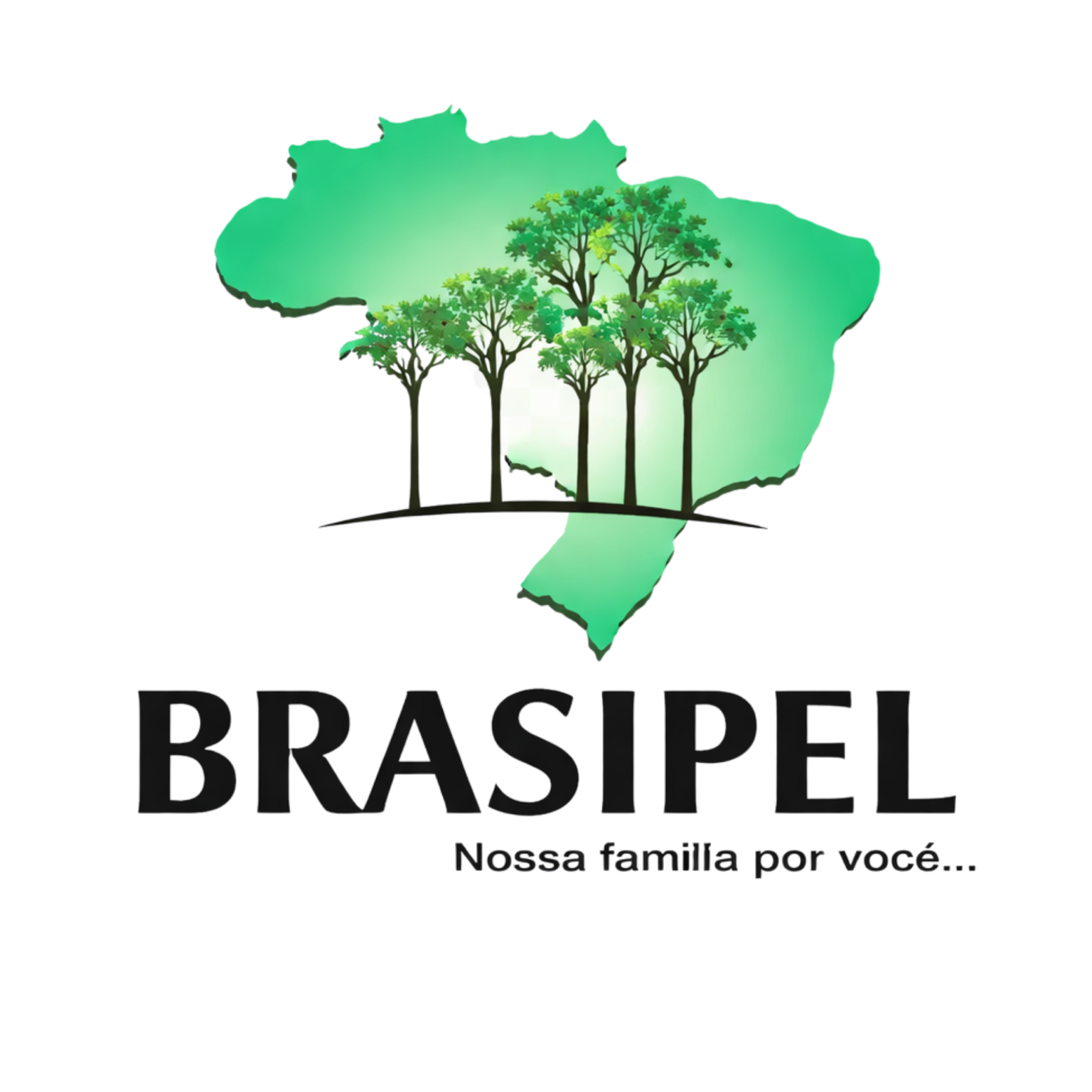 BRASIPEL LOGO